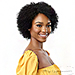Outre The Daily Wig 100% Human Hair Lace Part Wig - HH NATURAL AFRO
